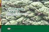 Growing Africa Unlockng Potential of Agribusiness 2013