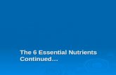 Nutrition Day 2 - The 6 Essential Nutrients Continued...