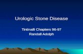 Urologic Stone Disease