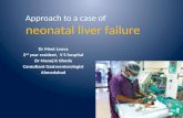 Neonatal liver failure