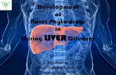 Liver diseases - Part I