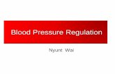 Blood pressure regulation 2013