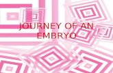 Journey of an Embryo