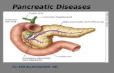 Presentation1.pptx pancreatic disease.
