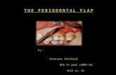 The Periodontal flap