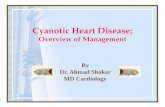 Cyanotic heart disease