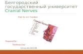 Accessory & hypoglossal nerves