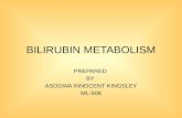 Bilirubin metabolism by asogwa innocent kingsley ml 508