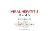 Viral Hepatitis B, D