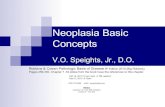 L3 neoplasia basic concepts