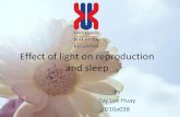 Effect of light on reproduction and sleep