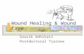 Wound Healing & Wound Care