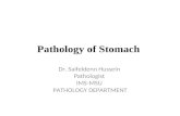 Pathology of stomach
