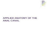 Applied Anatomy of the Anal Canal