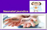 Jaundice neonatal