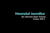 Neonatal jaundice (hyperbilirubinemia) by Rajiv Mavachi