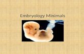 Embryology minimals