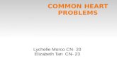 16. common heart problems