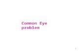 Common Eye Problem