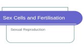 6.sex cells and fertilisation