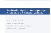Ischemic Optic Neuropathy: A Sequala of Spinal Surgery
