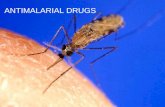 Antimalarial drugs (VK)