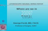 Laparoscopic Inguinal Hernia Repair Where Are We in 2009?