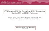 UVB Induces HIF-1a-Dependent TSLP Expression via the JNK and ERK Pathways