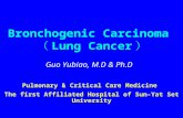 6 lungcancer
