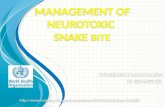 Management of neurotoxic snake bite