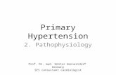 Hypertension 2013 Pathophysiology