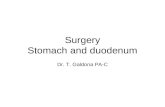 Surgery Stomach & Duodenum Tg