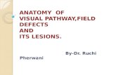 Anatomy of visual pathway, field defects and its lesions.