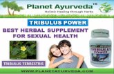 Tribulus Terrestris Capsules- Benefits, Dosage and Side Effects