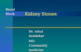 DR. rahul dandekar - Kidney stones