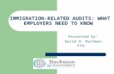 Immigration related audits (revised)