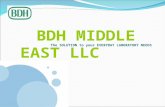 BDH Middle East corporate presentation