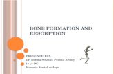 bone formation and resorption