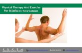 Physical Therapy for Lower Back Pain Relief
