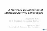 A Network Visualization of Structure Activity Landscapes