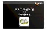 eCampaigning on a shoestring