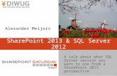 Share point 2013 and sql server 2012   what to choose