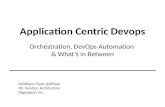 An Application Centric Approach to Devops