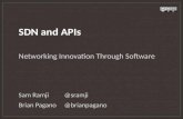 API Management for Software Defined Network (SDN)