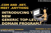 .COM and .NET, meet .ANYTHING - Introducing the New Generic Top-Level Domain Program