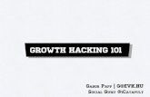 Growth Hacking 101 - Understanding Growth