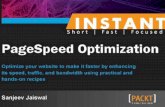 Presentation on Instant page speed optimization