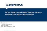 DDos Attacks and Web Threats: How to Protect Your Site & Information
