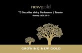 Print version   td conference - january 29-30, 2013