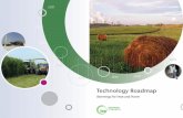 Technology Roadmap: Bioenergy for Heat and Power